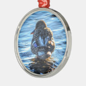 Mallard Duck in Winter River - Wildlife Foto Metalen Ornament (Links)