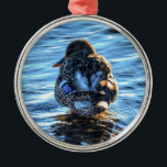 Mallard Duck in Winter River - Wildlife Foto Metalen Ornament<br><div class="desc">Een koude Mallard knuffelt zich in een Canadese rivier,  wachtend op de koude wind die ondergaat. Dit recente foto-afbeelding geeft een heel nieuwe betekenis aan de term "Cold Duck". Maakt een prachtig ontwerp van dit cadeau voor wildlife-liefhebbers.</div>