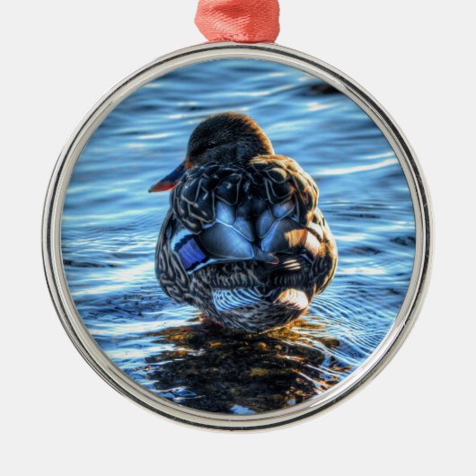 Mallard Duck in Winter River - Wildlife Foto Metalen Ornament (Voorkant)