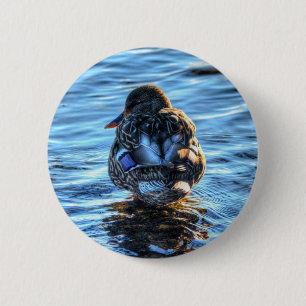 Mallard Duck in Winter River - Wildlife Foto Ronde Button 5,7 Cm