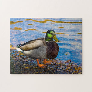 Mallard Duck Jigzaag puzzle Legpuzzel