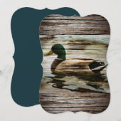 Mallard Duck Kaart (Voorkant / Achterkant)