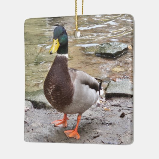 Mallard Duck Keramisch Ornament (Links)