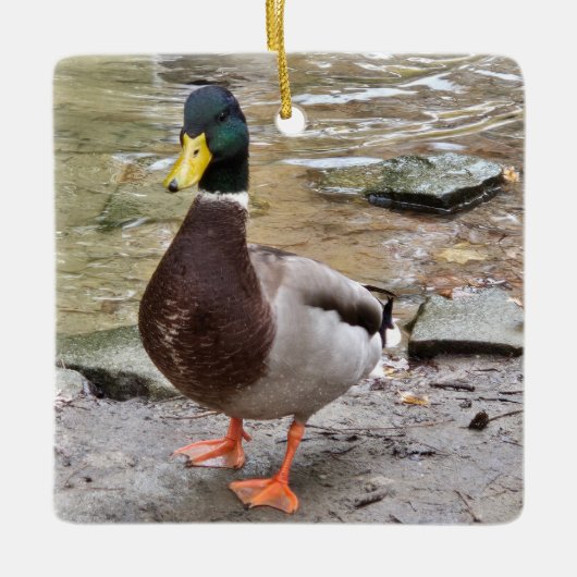 Mallard Duck Keramisch Ornament (Voorkant)
