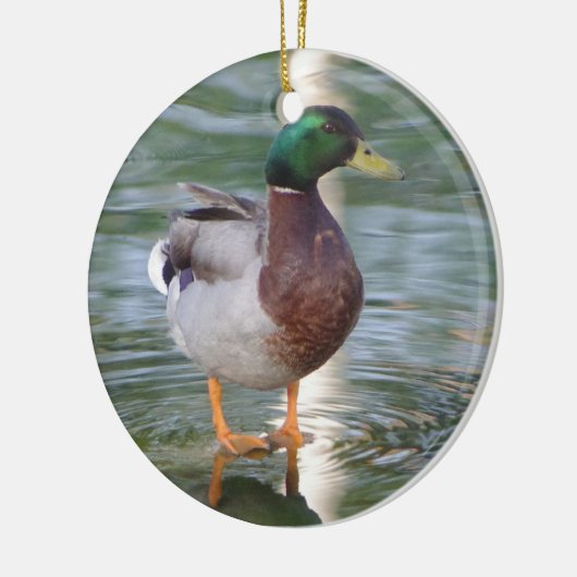 Mallard Duck Keramisch Ornament (Links)
