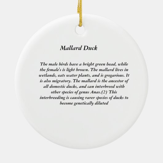 Mallard Duck Keramisch Ornament (Achterkant)