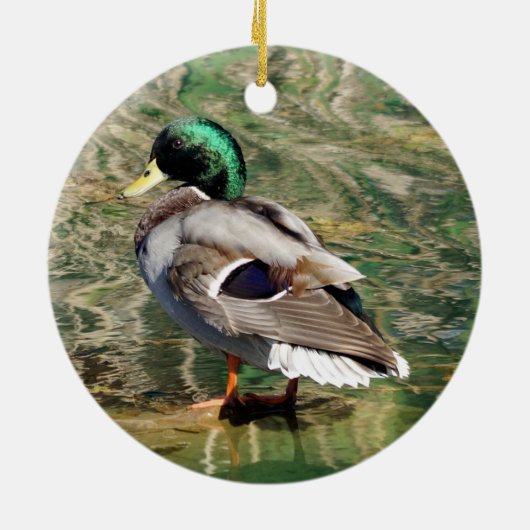 Mallard Duck kerstversiering Keramisch Ornament (Achterkant)