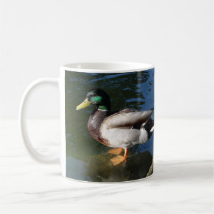 Mallard Duck Koffiemok