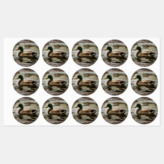 Mallard Duck Labels (Vel)
