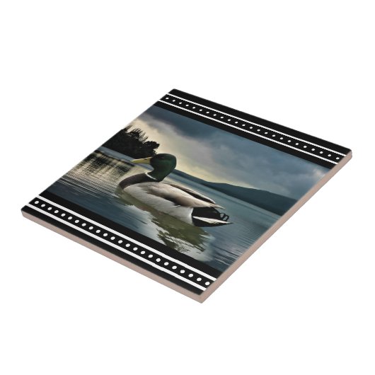 Mallard Duck Lake Tegeltje (Zijkant)