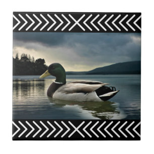 Mallard Duck Lake Tegeltje