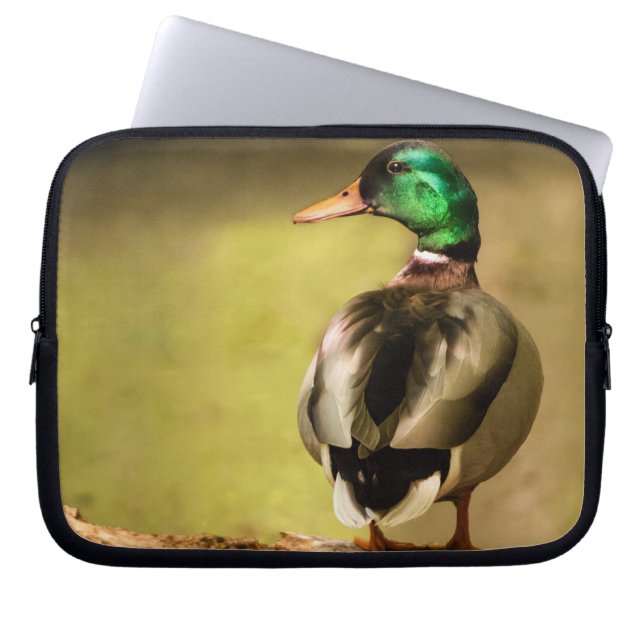 Mallard Duck Laptop Sleeve (Voorkant)