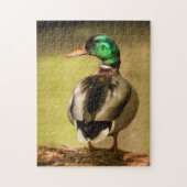 Mallard Duck Legpuzzel (Verticaal)