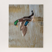 Mallard Duck Legpuzzel (Verticaal)