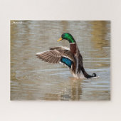 Mallard Duck Legpuzzel (Horizontaal)