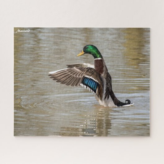 Mallard Duck Legpuzzel (Horizontaal)