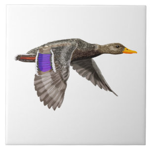 Mallard Duck Lovers Tegeltje