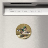 Mallard Duck Magnet (Insitu (Vaatwasser))