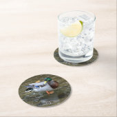 Mallard Duck (Man)Papier Onderzetter (Insitu)