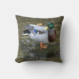 Mallard Duck (Mannelijk) in Creek Pillow Kussen