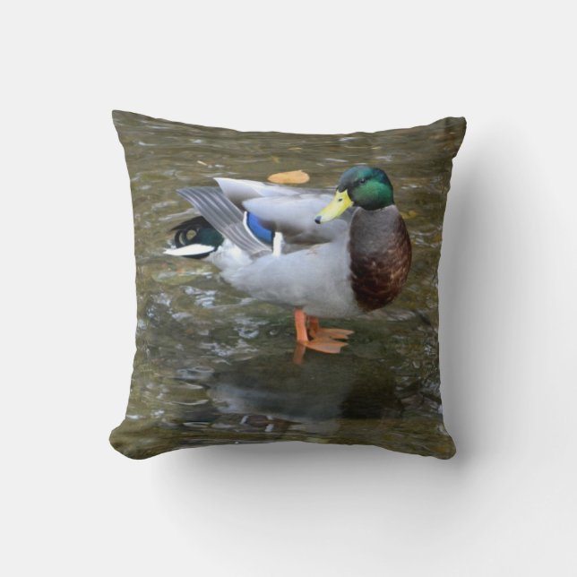 Mallard Duck (Mannelijk) in Creek Pillow Kussen (Voorkant)