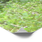 Mallard Duck Mannelijk Poster (Hoek)