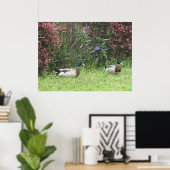 Mallard Duck Mannelijk Poster (Thuiskantoor)