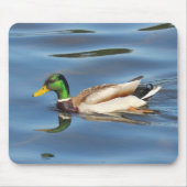 Mallard Duck Muismat (Voorkant)