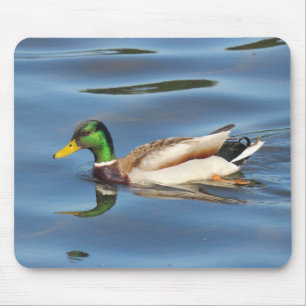 Mallard Duck Muismat