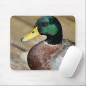 Mallard Duck Muismat (Met muis)