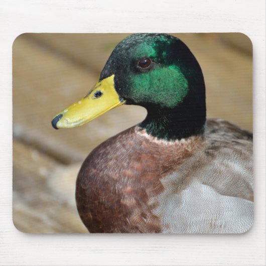 Mallard Duck Muismat (Voorkant)