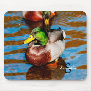 Mallard Duck Muismat