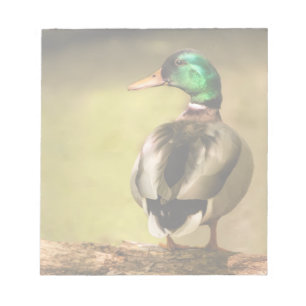 Mallard Duck Notitieblok