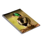 Mallard Duck Notitieboek (Rechterzijde)