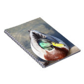 Mallard Duck Notitieboek (Rechterzijde)