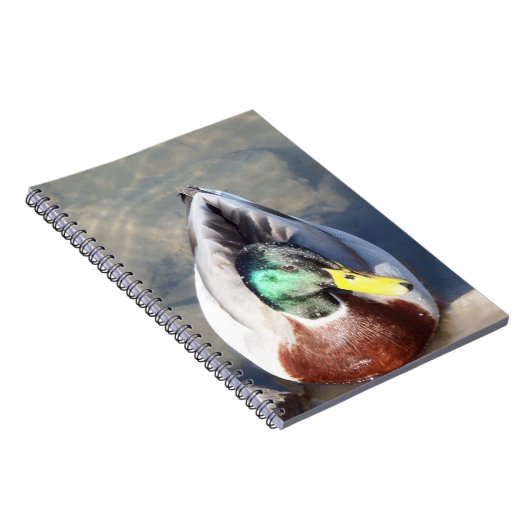 Mallard Duck Notitieboek (Rechterzijde)