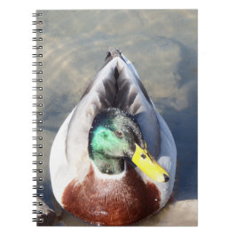 Mallard Duck Notitieboek