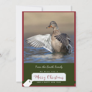 Mallard Duck op een kerst Kaart