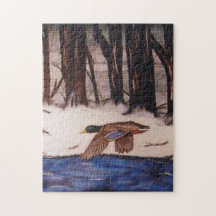 Mallard Duck op een missie