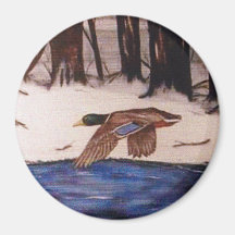 Mallard Duck op een missie