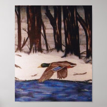 Mallard Duck op een missie