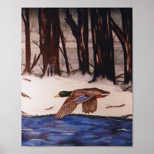 Mallard Duck op een missie Poster (Voorkant)