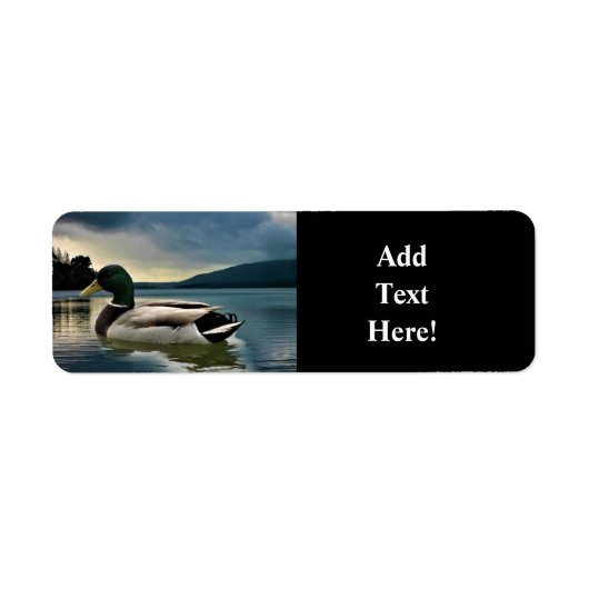Mallard Duck op het label van het meer (Voorkant)