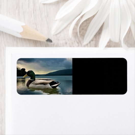 Mallard Duck op het meer Etiket (Insitu)