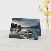 Mallard Duck op het meer Kaart (Gele Bloem)
