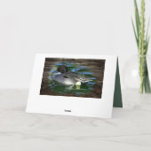 Mallard Duck op het meer Kaart (Achterkant)