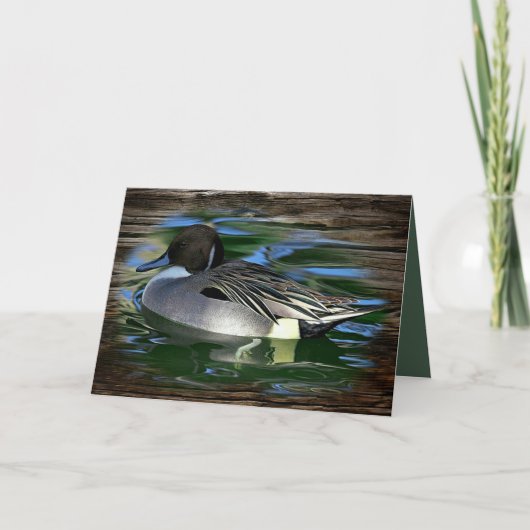 Mallard Duck op het meer Kaart (Voorkant)