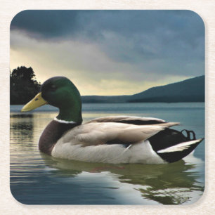 Mallard Duck op het meer Kartonnen Onderzetters