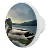Mallard Duck op het meer Keramische Knop (Rechts)