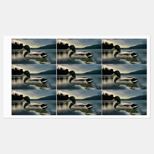 Mallard Duck op het meer Labels